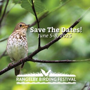 Save The Dates June 5-8, 2025 Rangeley Birding Festival