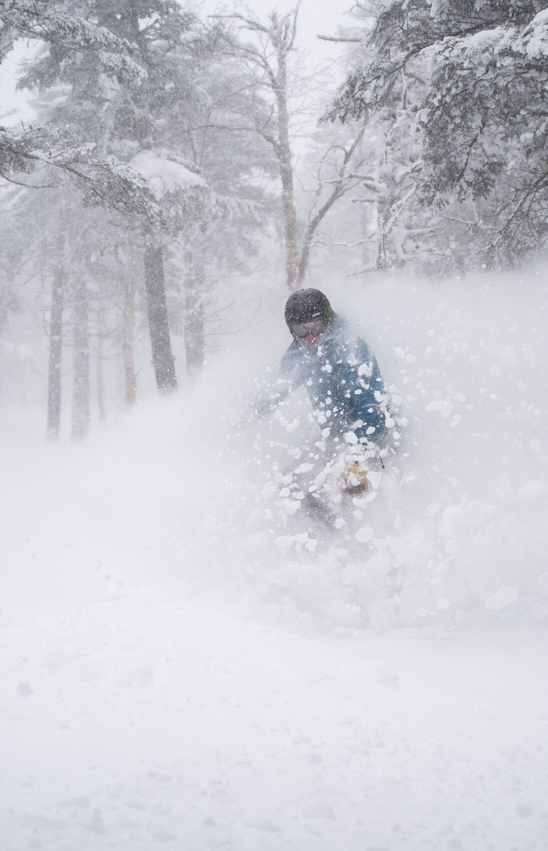 Snowboarder riding into powder_nightmare glades